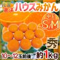 佐賀産 JAからつ ”ハウスみかん” S/Mサイズ 10～12玉前後 約1kg バラ詰め 温室みかん【予約 6月以降】 送料無料