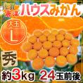 ”佐賀産 JAからつ ハウスみかん” 大玉Lサイズ 24玉前後 約3kg バラ詰め 温室みかん【予約 6月以降】 送料無料