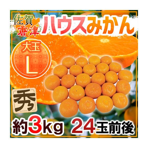 佐賀産 JAからつ ”ハウスみかん” 大玉Lサイズ 24玉前後 約3kg バラ詰め 温室みかん【予約 6月以降】 送料無料01