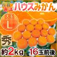 ”佐賀産 JAからつ ハウスみかん” 大玉Lサイズ 16玉前後 約2kg バラ詰め 温室みかん【予約 6月以降】 送料無料