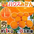 ”佐賀産 JAからつ ハウスみかん” 大玉Lサイズ 8玉前後 約1kg バラ詰め 温室みかん【予約 6月以降】 送料無料