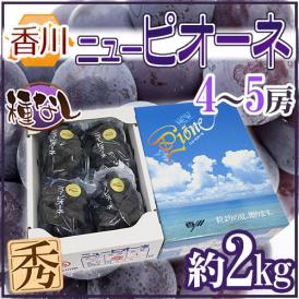 香川産 種なしぶどう ”ニューピオーネ” 秀品 4～5房 約2kg 化粧箱 種なしピオーネ【予約 7月中旬以降】 送料無料