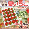 ”夏いちご” 20～24粒前後 約300g 産地厳選【予約 6月下旬以降】