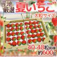 ”夏いちご” 40～48粒前後 約600g 産地厳選【予約 6月下旬以降】