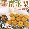 ”長野産 南水梨” 訳あり 約3kg 大きさおまかせ【予約 9月下旬以降】 送料無料