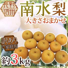 ”長野産 南水梨” 訳あり 約3kg 大きさおまかせ【予約 9月下旬以降】 送料無料