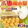 【送料無料】長野県 JA上伊那 ”味合格 南水梨” 10～16玉前後 約5kg 特秀品（味合格等級）【予約 9月下旬～10月】