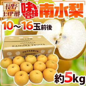 【送料無料】長野県 JA上伊那 ”味合格 南水梨” 10～16玉前後 約5kg 特秀品（味合格等級）【予約 9月下旬～10月】
