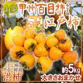 干し柿・吊るし柿用 ”渋柿” 山梨県 甲州百目柿 もしくは 奈良県西吉野 江戸柿 約5kg 大きさおまかせ【予約 11月以降】 送料無料