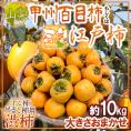 干し柿・吊るし柿用 ”渋柿” 山梨県 甲州百目柿 もしくは 奈良県西吉野 江戸柿 約10kg 大きさおまかせ【予約 11月以降】 送料無料