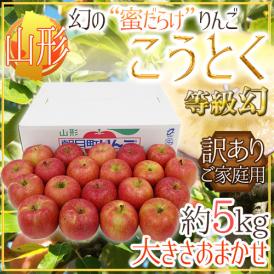 蜜だらけりんご ”山形産 こうとく（高徳）りんご” 等級幻 訳あり 約5kg 大きさおまかせ【予約 11月以降】 送料無料
