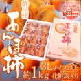 福島産 JAふくしま未来 ”あんぽ柿” 3Lサイズ以上 約1kg 化粧箱 蜂屋柿使用【予約 12月末以降】 送料無料