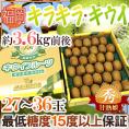 福岡県 八女産 ”キラキラキウイ 甘熟娘（うれっこ）” 秀品 27～36玉 約3.6kg前後 産地箱【予約 12月下旬以降】 送料無料