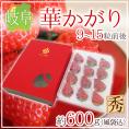 岐阜産 ”華かがり” 9～15粒 約600g（風袋込） 化粧箱 いちご【予約 1月下旬以降】 送料無料