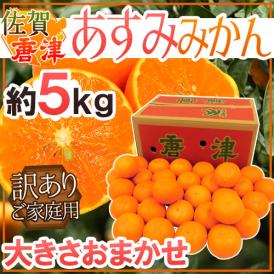佐賀県 JAからつ ”あすみみかん” 訳あり 約5kg 大きさおまかせ【予約 2月下旬以降】 送料無料