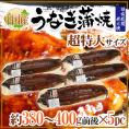 【送料無料】”うなぎ蒲焼” 約380～400g前後×5pc 中国産 ウナギ/鰻/有頭腹開