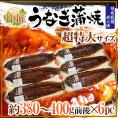 【送料無料】”うなぎ蒲焼” 約380～400g前後×6pc 中国産 ウナギ/鰻/有頭腹開