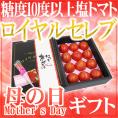 母の日ギフト 塩トマト ”ロイヤルセレブ＆カーネーション造花” 化粧箱 約900g 熊本産【予約 5月2日～5月10日お届け予定】 送料無料