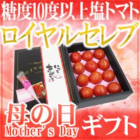 母の日ギフト 塩トマト ”ロイヤルセレブ＆カーネーション造花” 化粧箱 約900g 熊本産【予約 5月3日～5月12日お届け予定】 送料無料