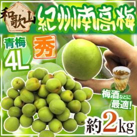 紀州・和歌山産 ”南高梅 青梅” 秀品 4L 約2kg【予約 5月中旬以降】 送料無料