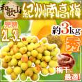 ”紀州・和歌山産 南高梅 完熟” 秀品 2L～3L 約3kg【予約 6月以降】 送料無料