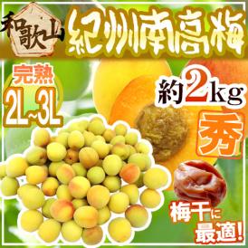 紀州・和歌山産 ”南高梅 完熟” 秀品 2L～3L 約2kg【予約 6月以降】 送料無料