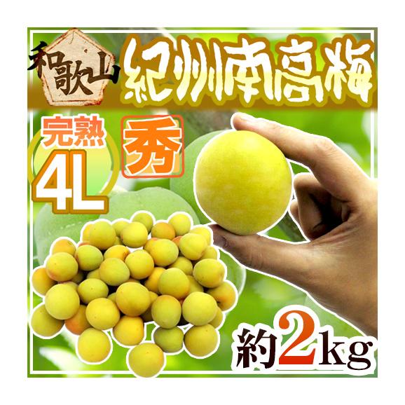 数量限定！】冷凍完熟南高梅4kg