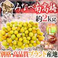 ”紀州・和歌山産 みなべ南高梅 熟梅” 秀品 L 約2kg【予約 6月以降】 送料無料