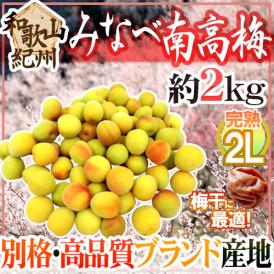 紀州・和歌山産 ”みなべ南高梅 熟梅” 秀品 2L 約2kg【予約 6月以降】 送料無料