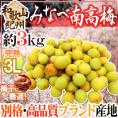 紀州・和歌山産 ”みなべ南高梅 熟梅” 秀品 3L 約3kg【予約 6月以降】 送料無料