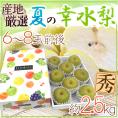 ”夏の幸水梨” 秀品 大玉6～8玉 約2.5kg 化粧箱 産地厳選【予約 7月以降】 送料無料