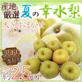 ”夏の幸水梨” 訳あり 約2.5kg 大きさおまかせ 産地厳選【予約 7月以降】 送料無料