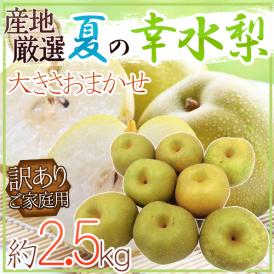 酸味の少ない優しい甘さ♪日本で最も愛される赤梨の定番品種♪