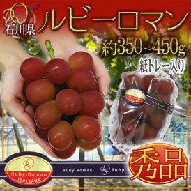 石川産 ”ルビーロマン” 秀品 1房 約350～450g 紙トレー【予約 8月以降】 送料無料