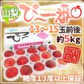 山梨県産 特選桃 ”ぴ～一番” 13～15玉前後 約5kg 特秀品/信玄等級 糖度13度以上保証【予約 7月下旬以降】 送料無料
