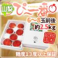 ”山梨県産 特選桃 ぴ～一番” 6～8玉前後 約2.5kg 特秀品/信玄等級 糖度13度以上保証【予約 7月下旬以降】 送料無料