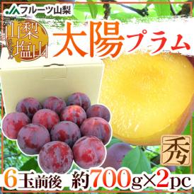 山梨県産 ”太陽プラム《1箱》” 秀品 6玉前後 700g×2pc（合計12玉前後 約1.4kg） すもも【予約 8月中下旬以降】 送料無料