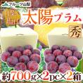 山梨県産 ”太陽プラム《2箱》” 秀品（1箱あたり12玉前後 約1.4kg） すもも【予約 8月中下旬以降】 送料無料
