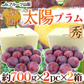 山梨県産 ”太陽プラム《2箱》” 秀品（1箱あたり12玉前後 約1.4kg） すもも【予約 8月中下旬以降】 送料無料