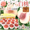 福島県産 ”さくら白桃” 特選品 13～18玉前後 約5kg 産地箱 糖度15度以上【予約 9月以降】 送料無料