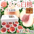 ”福島県産 さくら白桃” 特選品 7～9玉前後 約2.5kg 化粧箱 糖度15度以上【予約 9月以降】 送料無料