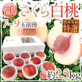 ”福島県産 さくら白桃” 特選品 7～9玉前後 約2.5kg 化粧箱 糖度15度以上【予約 9月以降】 送料無料