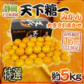 静岡 とぴあみかん ”天下糖一” 特選品 約5kg 大きさおまかせ 最低糖度13度保証【予約 10月末以降】 送料無料
