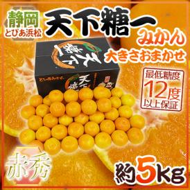 静岡 とぴあみかん ”天下糖一” 赤秀品 約5kg 大きさおまかせ 最低糖度12度保証【予約 10月末以降】 送料無料
