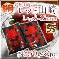 静岡県 ”苺屋山崎 レッド山崎” 秀品 2pc（1pcあたり5～15粒前後 約250g） いちご【予約 1月下旬以降】 送料無料