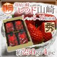 静岡県 ”苺屋山崎 レッド山崎” 秀品 4pc（1pcあたり5～15粒前後 約250g） いちご【予約 1月下旬以降】 送料無料