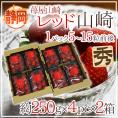 静岡県 ”苺屋山崎 レッド山崎” 秀品 4pc(1pcあたり5~15粒前後 約250g)×《2箱》 いちご【予約 1月下旬以降】 送料無料
