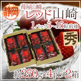 静岡県 ”苺屋山崎 レッド山崎” 秀品 4pc（1pcあたり5～15粒前後 約250g）×《2箱》  いちご【予約 1月下旬以降】 送料無料