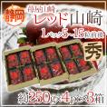 静岡県 ”苺屋山崎 レッド山崎” 秀品 4pc(1pcあたり5~15粒前後 約250g)×《3箱》 いちご【予約 1月下旬以降】 送料無料