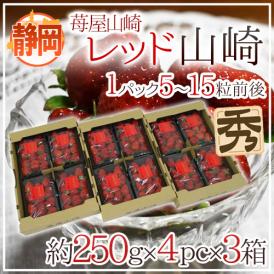 静岡県 ”苺屋山崎 レッド山崎” 秀品 4pc（1pcあたり5～15粒前後 約250g）×《3箱》 いちご【予約 1月下旬以降】 送料無料